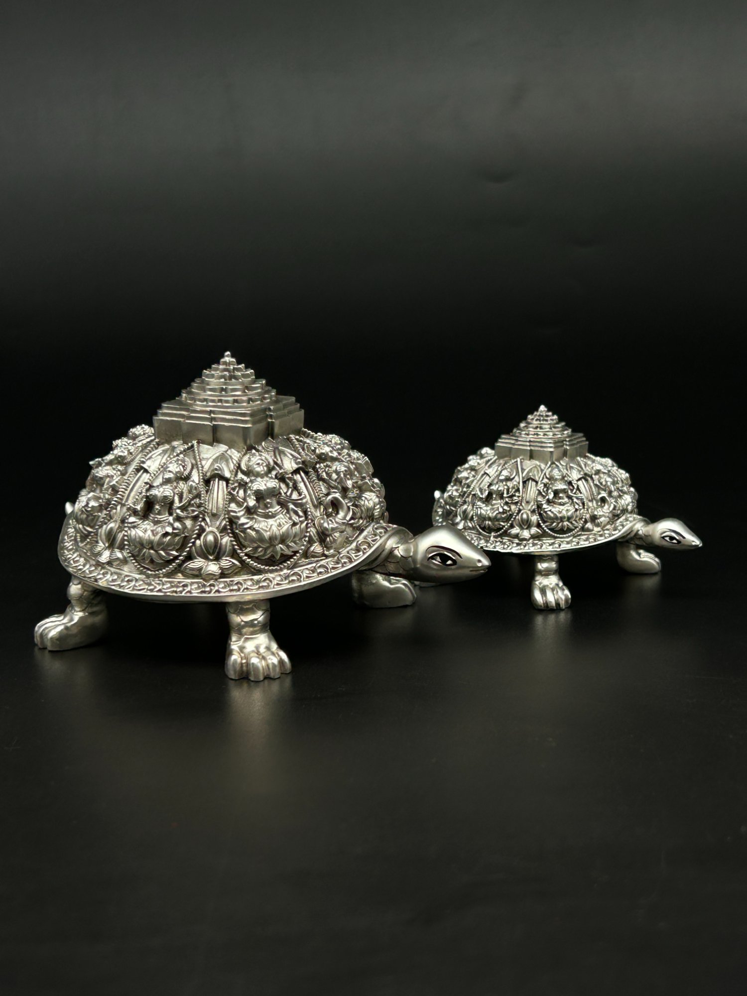 Tortoise with Shree Yantra